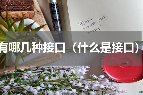 有哪几种接口（什么是接口）