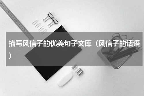 描写风信子的优美句子文库（风信子的话语）