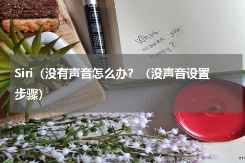 Siri（没有声音怎么办？（没声音设置步骤）