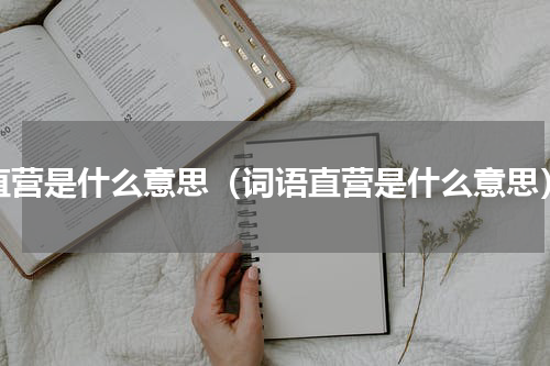 直营是什么意思（词语直营是什么意思）