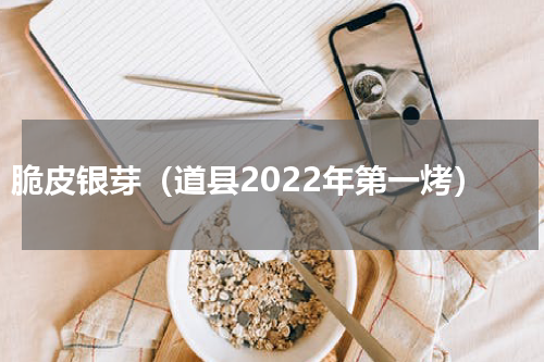 脆皮银芽（道县2022年第一烤）