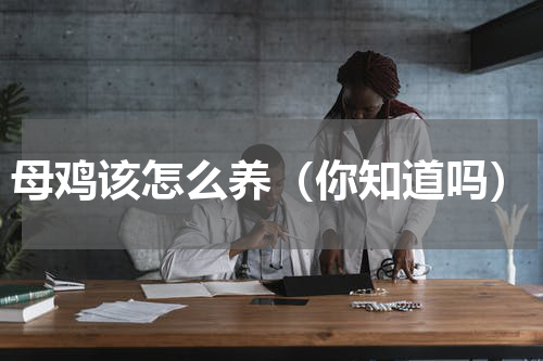 母鸡该怎么养（你知道吗）