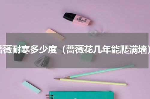 蔷薇耐寒多少度（蔷薇花几年能爬满墙）