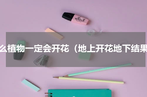 什么植物一定会开花（地上开花地下结果）