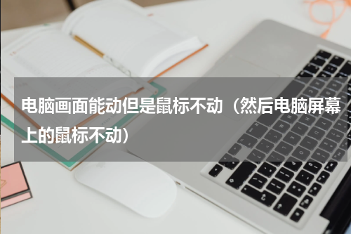 电脑画面能动但是鼠标不动（然后电脑屏幕上的鼠标不动）