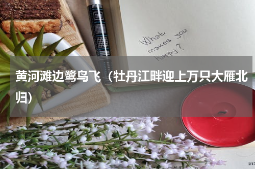 黄河滩边鹭鸟飞（牡丹江畔迎上万只大雁北归）