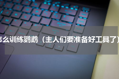 怎么训练鹦鹉（主人们要准备好工具了）