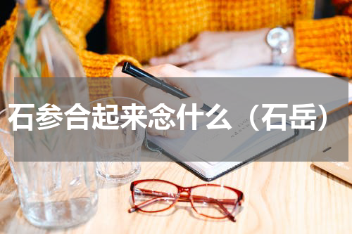 石参合起来念什么（石岳）