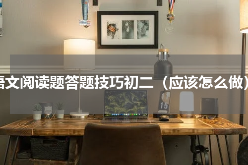 语文阅读题答题技巧初二（应该怎么做）