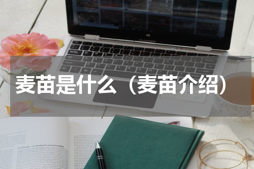 麦苗是什么（麦苗介绍）