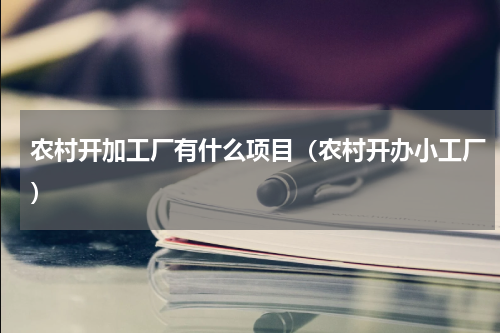 农村开加工厂有什么项目（农村开办小工厂）