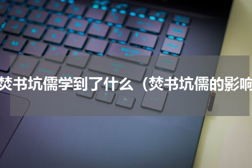 从焚书坑儒学到了什么（焚书坑儒的影响）