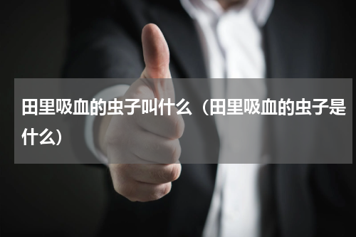 田里吸血的虫子叫什么（田里吸血的虫子是什么）