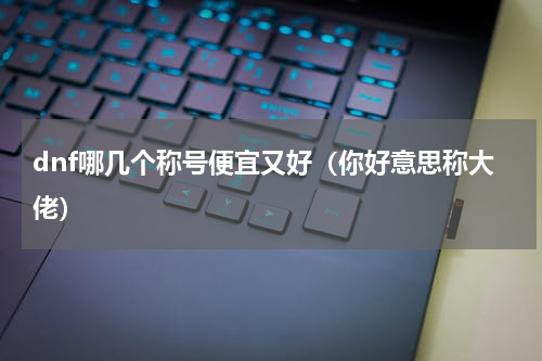 dnf哪几个称号便宜又好（你好意思称大佬）