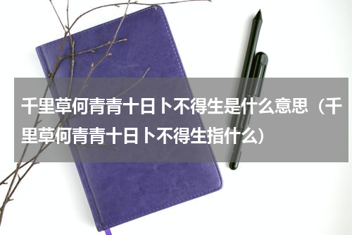 千里草何青青十日卜不得生是什么意思（千里草何青青十日卜不得生指什么）
