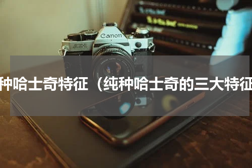 纯种哈士奇特征（纯种哈士奇的三大特征）
