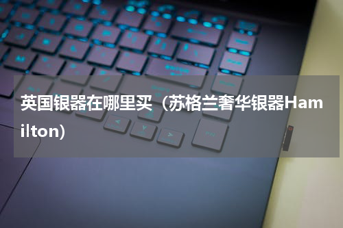 英国银器在哪里买（苏格兰奢华银器Hamilton）