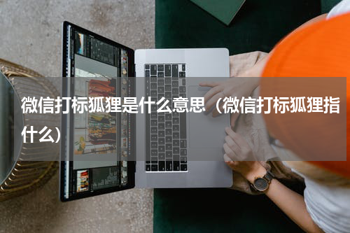 微信打标狐狸是什么意思（微信打标狐狸指什么）