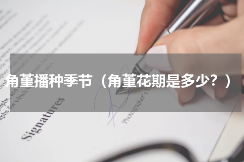 角堇播种季节（角堇花期是多少？）
