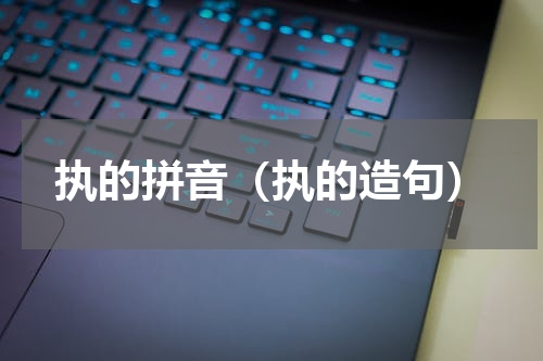 执的拼音（执的造句）