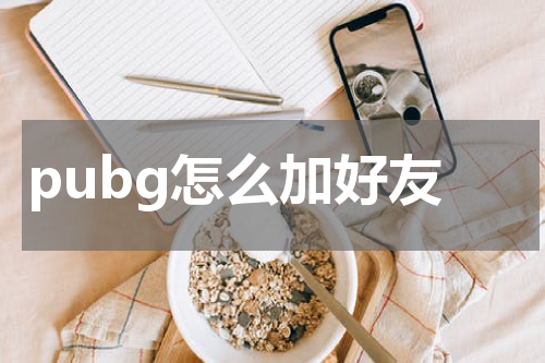 pubg怎么加好友