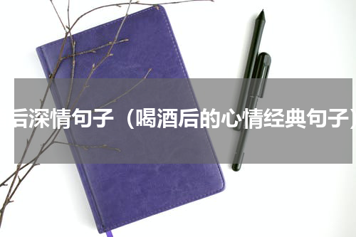 酒后深情句子（喝酒后的心情经典句子）