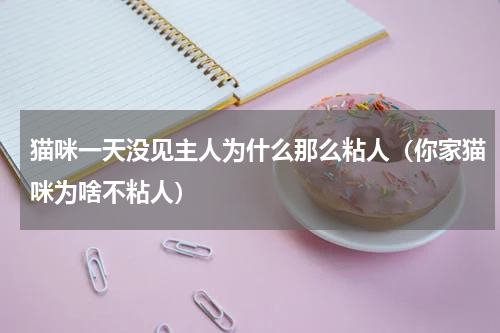 猫咪一天没见主人为什么那么粘人（你家猫咪为啥不粘人）