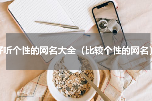好听个性的网名大全（比较个性的网名）