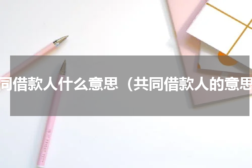 共同借款人什么意思（共同借款人的意思）