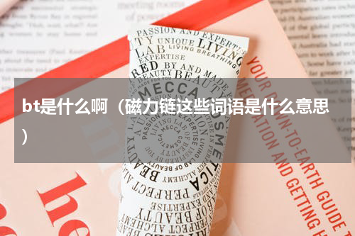 bt是什么啊（磁力链这些词语是什么意思）