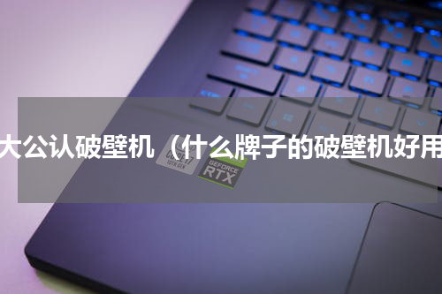 十大公认破壁机（什么牌子的破壁机好用）