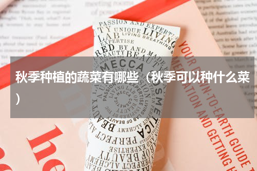 秋季种植的蔬菜有哪些（秋季可以种什么菜）