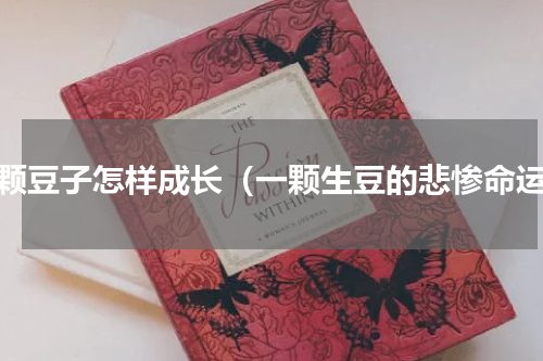 一颗豆子怎样成长（一颗生豆的悲惨命运）