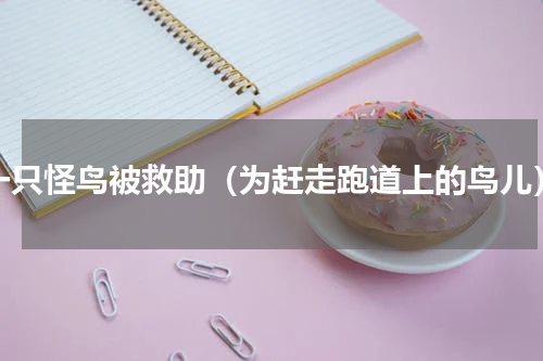 一只怪鸟被救助（为赶走跑道上的鸟儿）