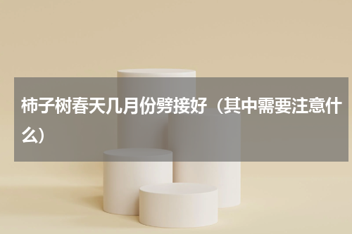 柿子树春天几月份劈接好（其中需要注意什么）