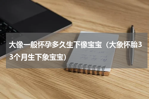 大像一般怀孕多久生下像宝宝（大象怀胎33个月生下象宝宝）