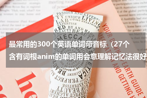 最常用的300个英语单词带音标（27个含有词根anim的单词用会意理解记忆法很好记忆）