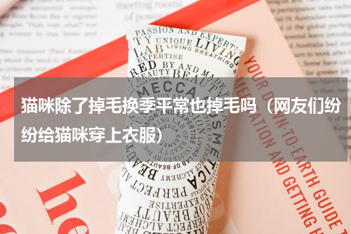 猫咪除了掉毛换季平常也掉毛吗（网友们纷纷给猫咪穿上衣服）