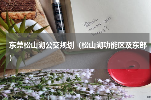 东莞松山湖公交规划（松山湖功能区及东部）