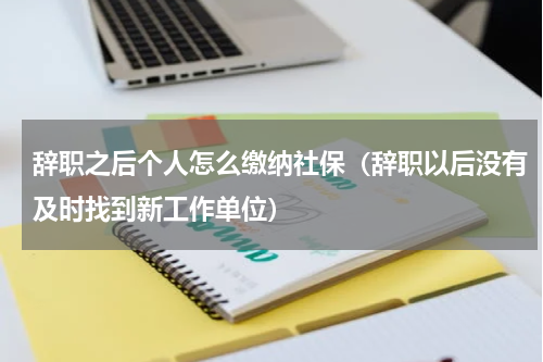 辞职之后个人怎么缴纳社保（辞职以后没有及时找到新工作单位）