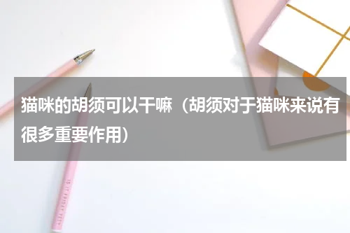 猫咪的胡须可以干嘛（胡须对于猫咪来说有很多重要作用）