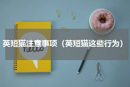 英短猫注意事项（英短猫这些行为）