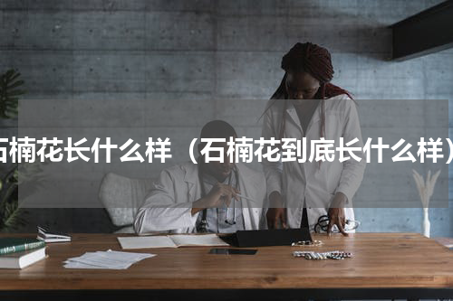 石楠花长什么样（石楠花到底长什么样）