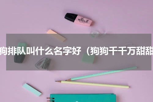 狗狗排队叫什么名字好（狗狗千千万甜甜）