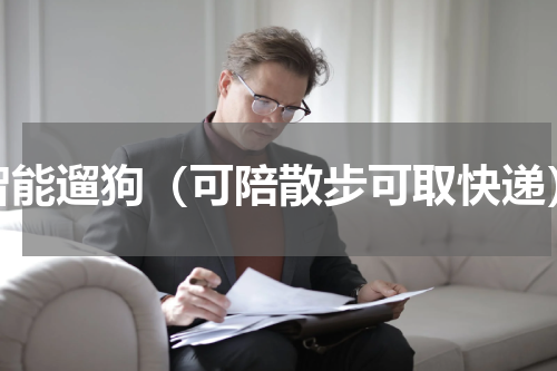 智能遛狗（可陪散步可取快递）