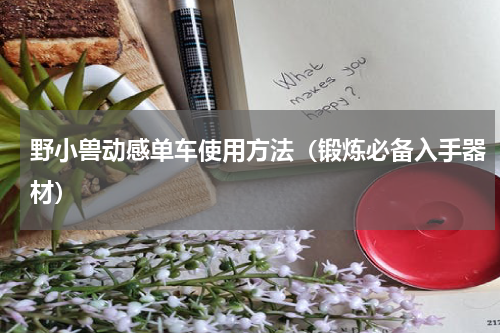 野小兽动感单车使用方法（锻炼必备入手器材）