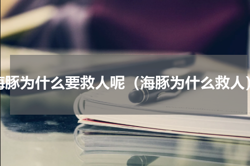 海豚为什么要救人呢（海豚为什么救人）