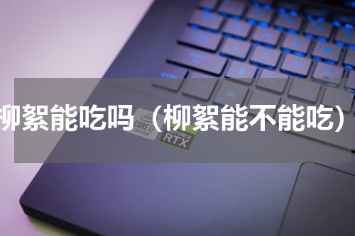 柳絮能吃吗（柳絮能不能吃）