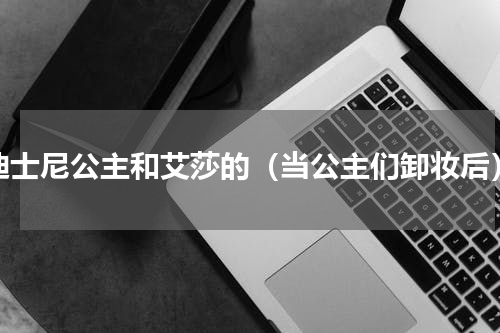 迪士尼公主和艾莎的（当公主们卸妆后）