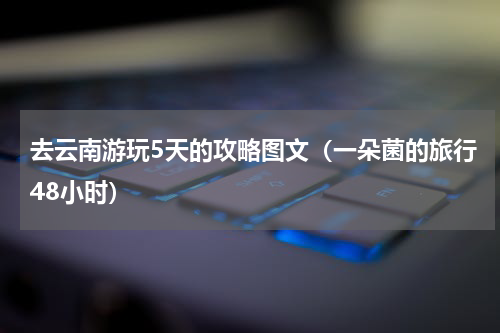 去云南游玩5天的攻略图文（一朵菌的旅行48小时）